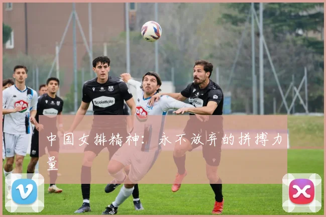 中国女排精神：永不放弃的拼搏力量