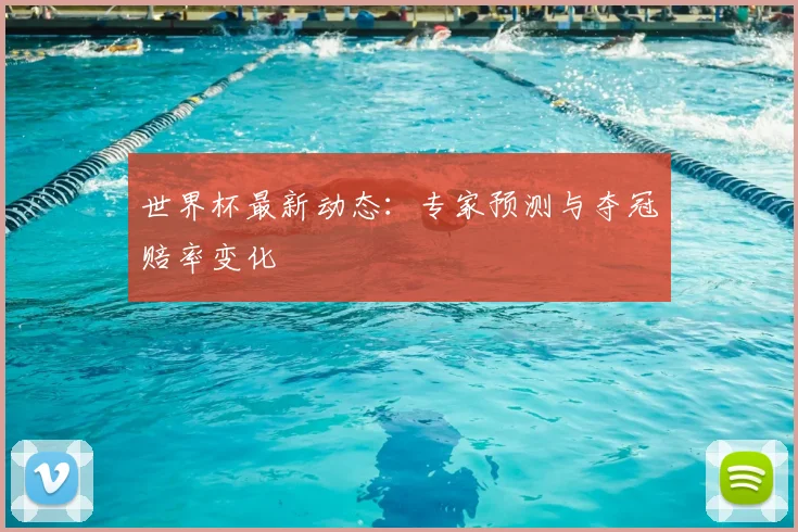 世界杯最新动态:专家预测与夺冠赔率变化