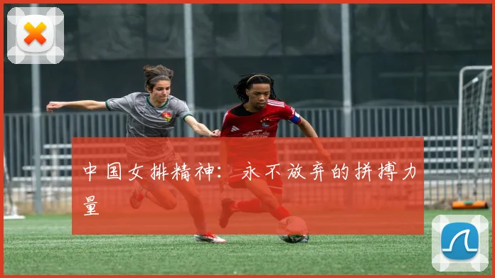 中国女排精神:永不放弃的拼搏力量