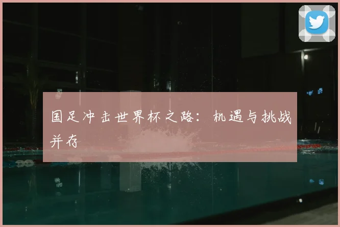 国足冲击世界杯之路:机遇与挑战并存