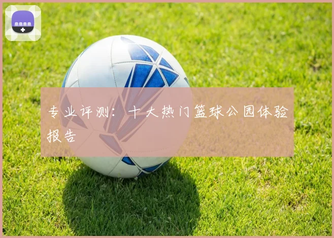 专业评测:十大热门篮球公园体验报告